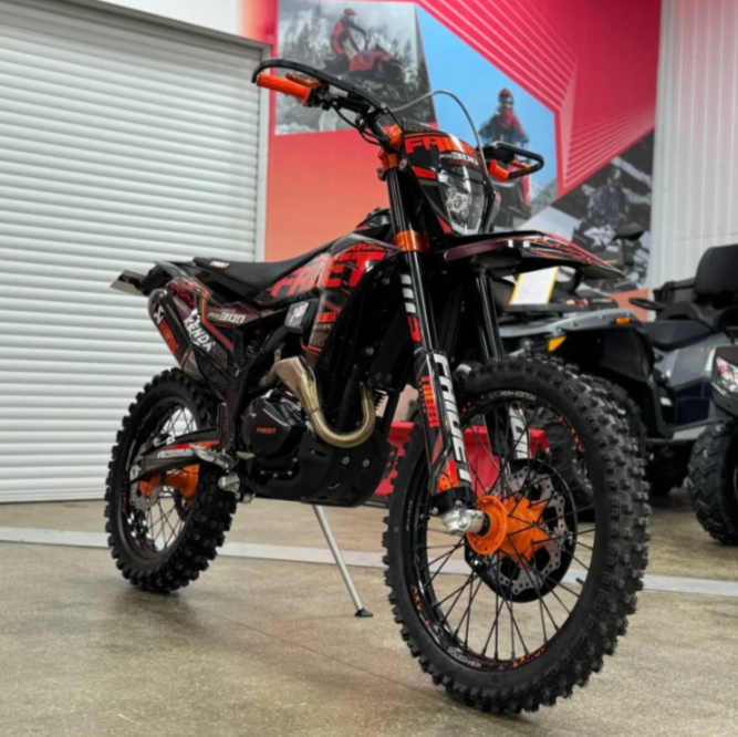 Кроссовый мотоцикл FAIDET PR300 MAX WP в Набережных Челнах