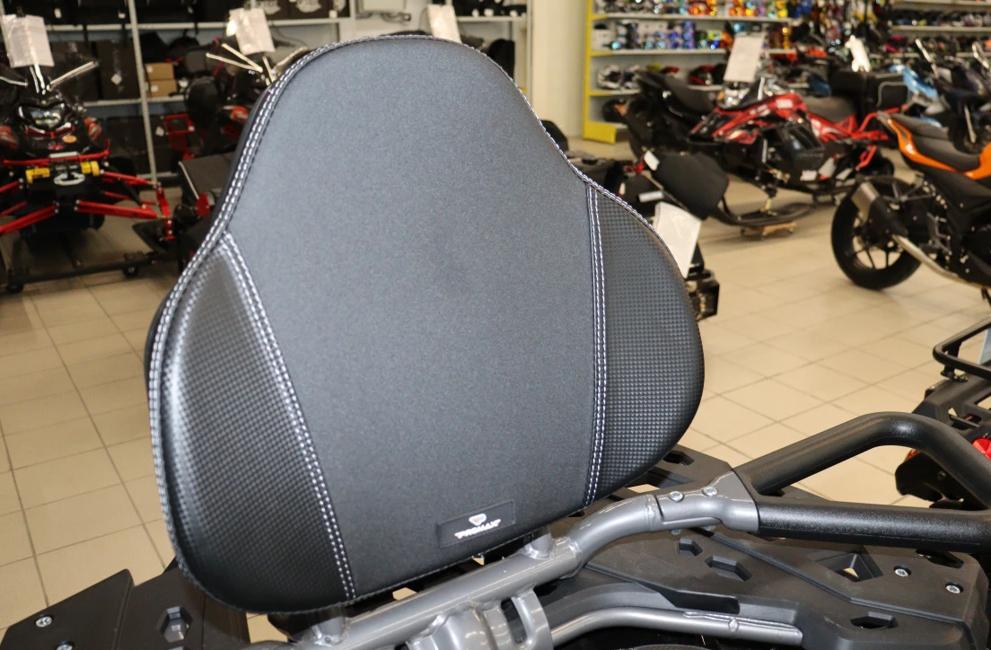 Квадроцикл PROMAX RENEGADE 300 LONG WINCH PRO (2025) в Набережных Челнах