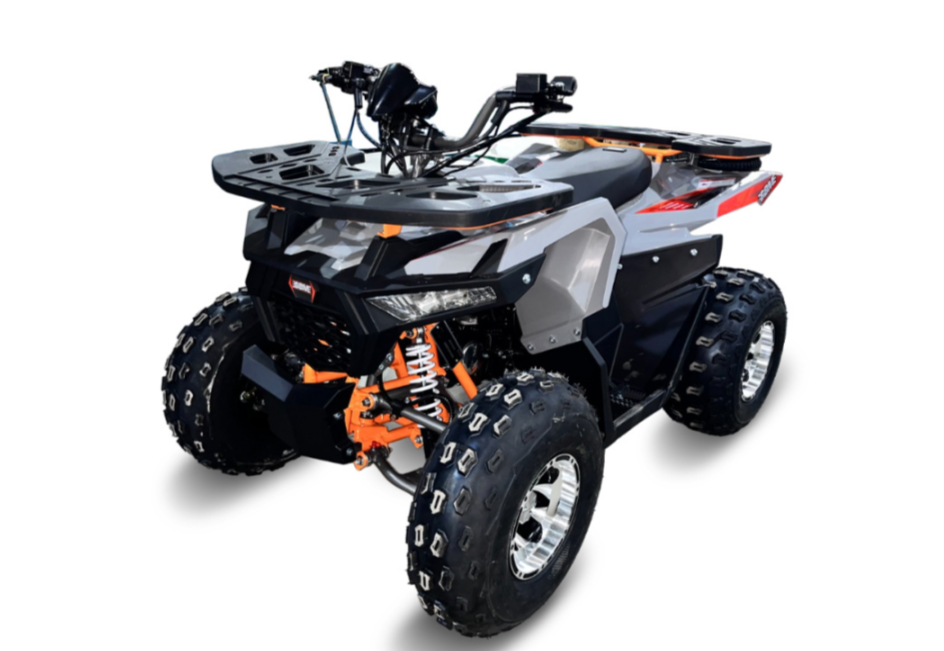 Квадроцикл GBM DAXTER 220 NEW PREMIUM в Набережных Челнах