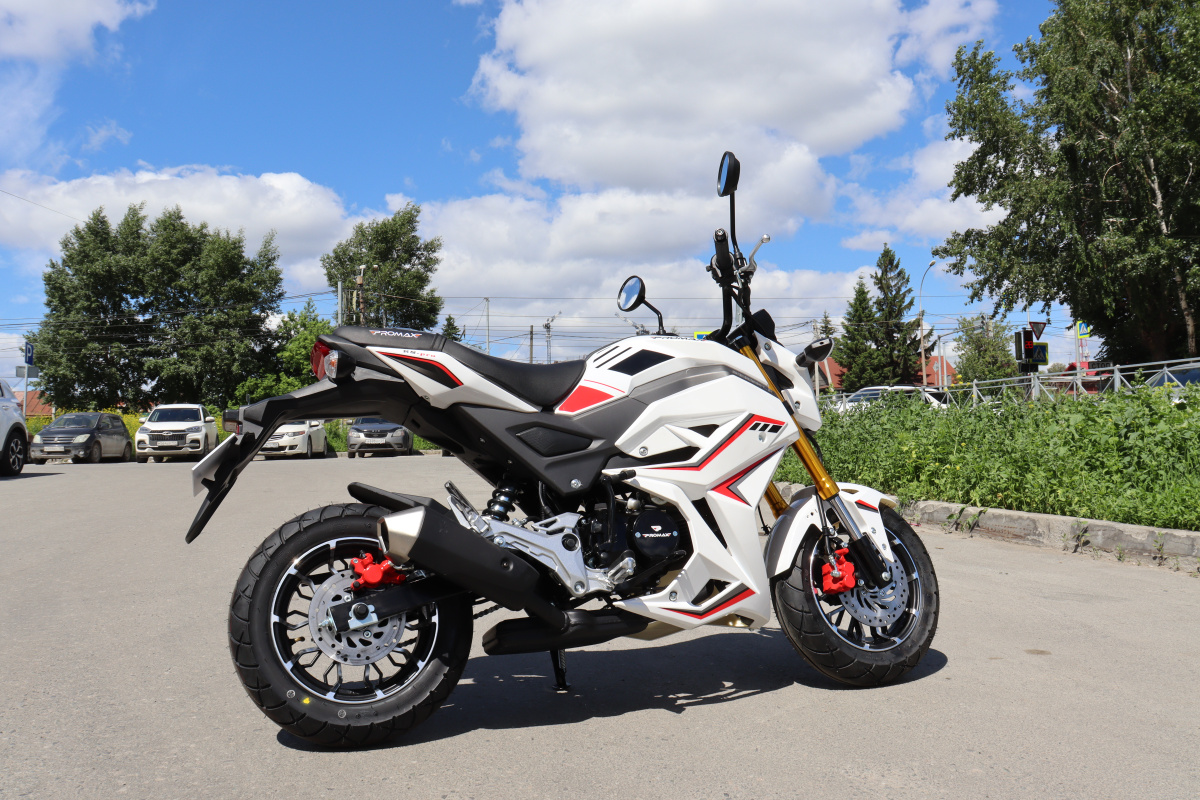 Мотоцикл PROMAX STRYKER 200(49) 2.0 в Набережных Челнах