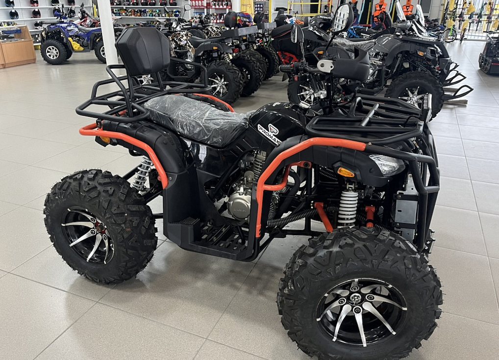 Квадроцикл PROMAX 300 4X4 ALL ROAD в Набережных Челнах