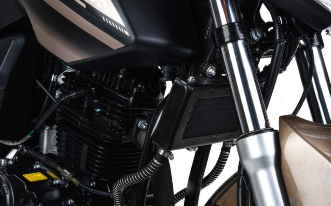 Мотоцикл MOTOLAND (МОТОЛЕНД) 300 BANDIT в Набережных Челнах