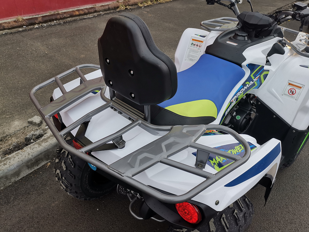 Квадроцикл PROMAX RENEGADE 280 LUX (2025) в Набережных Челнах