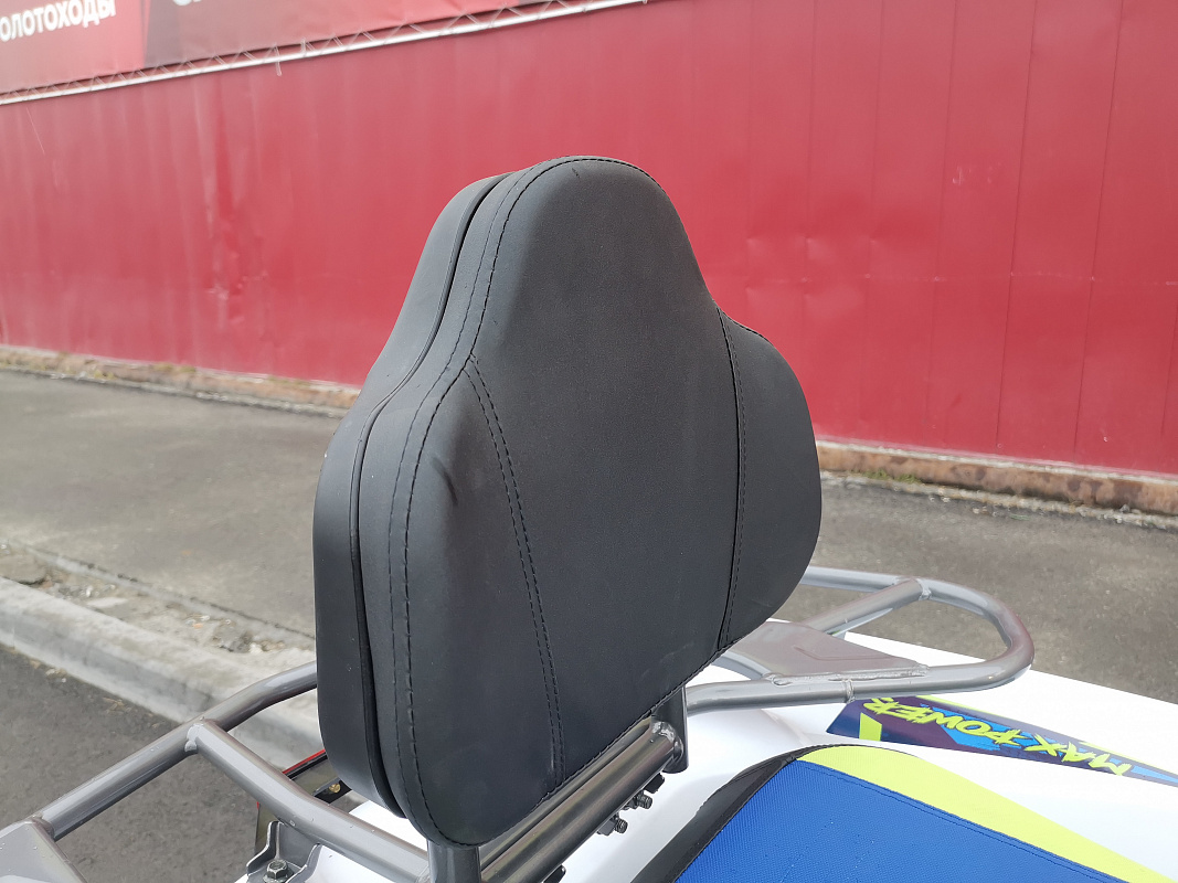 Квадроцикл PROMAX RENEGADE 280 LUX (2025) в Набережных Челнах