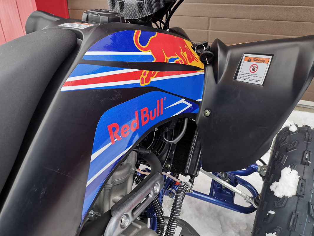 Квадроцикл PROMAX RAPTOR 300 NEW RedBull в Набережных Челнах