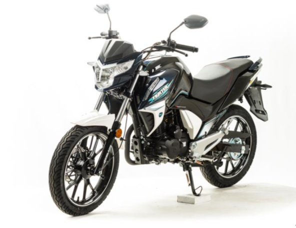 Мотоцикл MOTOLAND (МОТОЛЕНД) FIGHTER 250 в Набережных Челнах