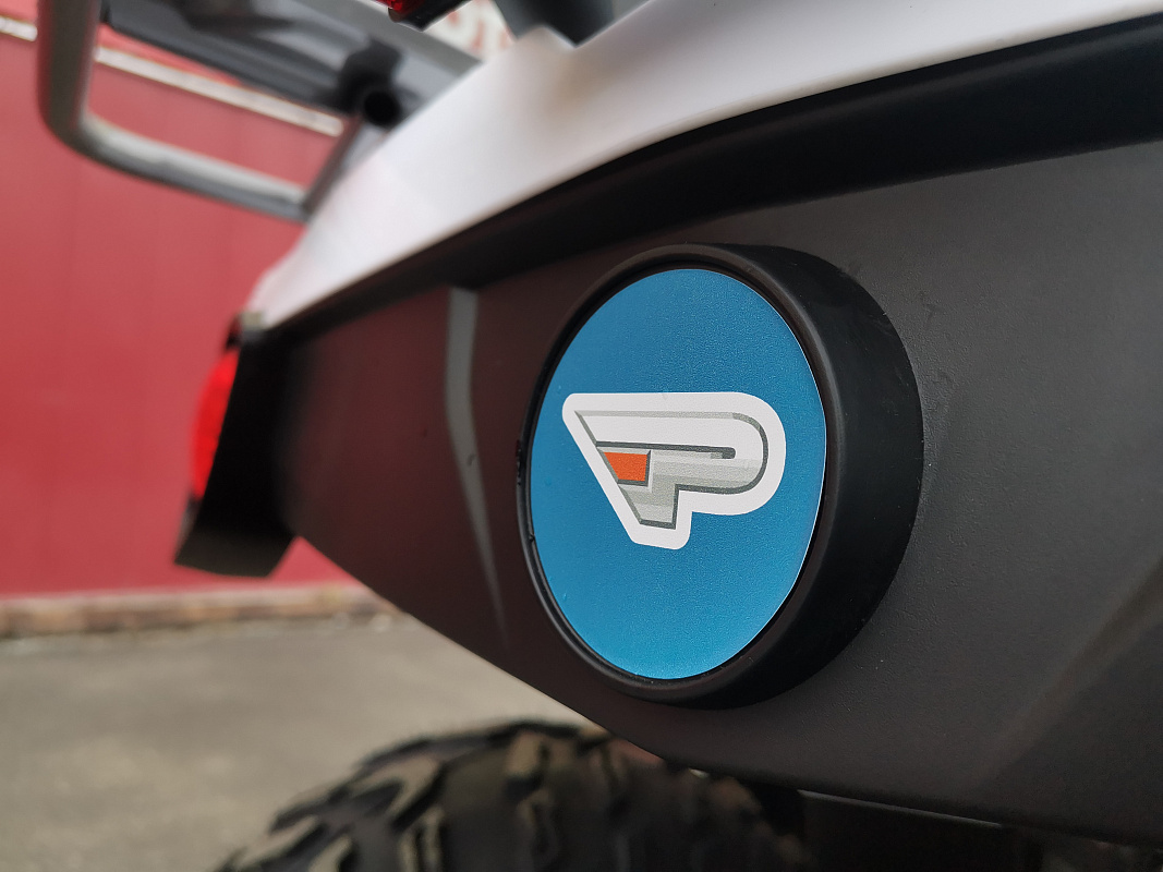 Квадроцикл PROMAX RENEGADE 280 LUX (2025) в Набережных Челнах