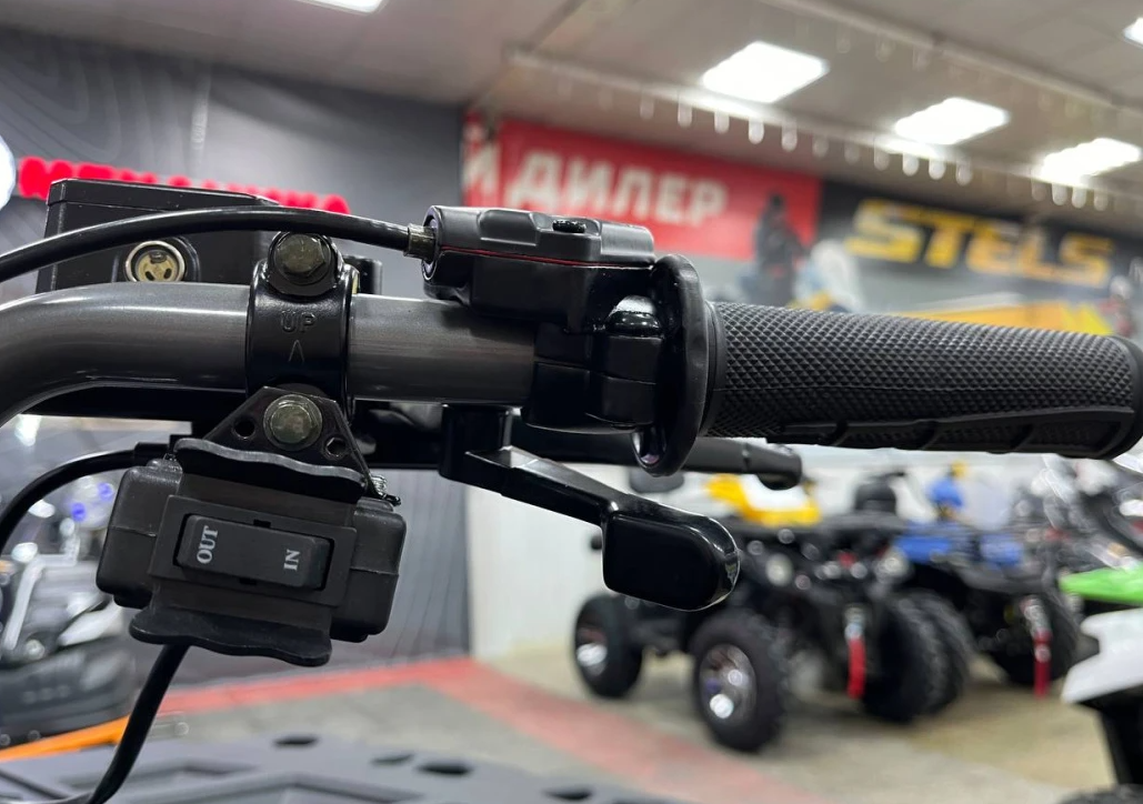 Квадроцикл PROMAX RENEGADE 300 LONG WINCH PRO (2025) в Набережных Челнах