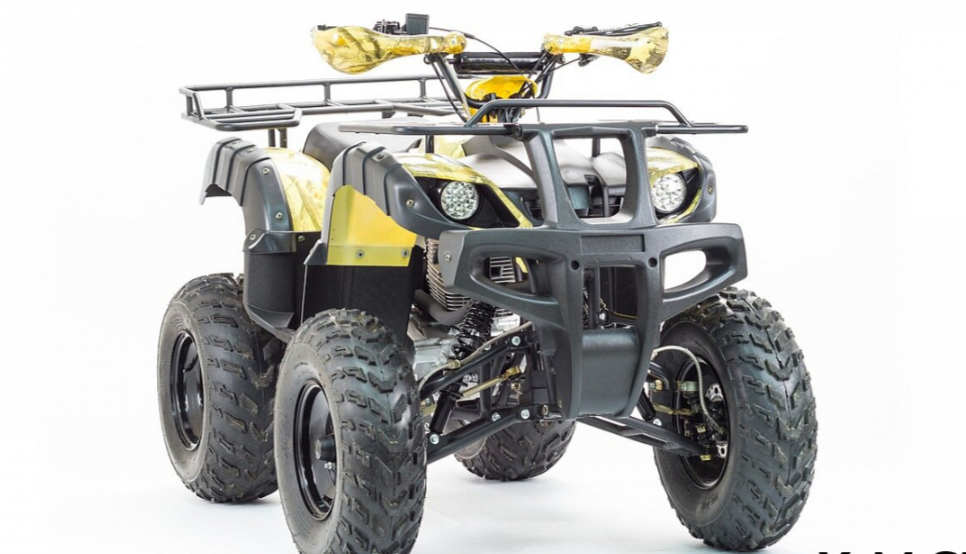 Квадроцикл MOTOLAND (МОТОЛЕНД) 250 ADVENTURE в Набережных Челнах