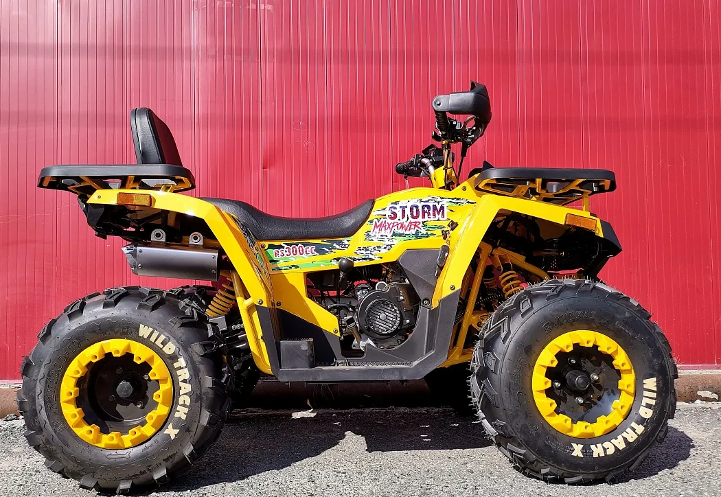 Квадроцикл PROMAX STORM 280 LUX в Набережных Челнах