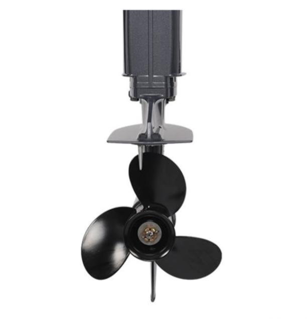 Лодочный мотор ALLFA CG Т40FW S в Набережных Челнах