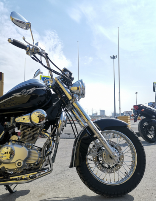 Мотоцикл MOTOLAND (МОТОЛЕНД) WOLF 250 в Набережных Челнах