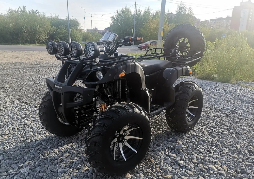 Квадроцикл PROMAX LEO 300 Max (кардан) в Набережных Челнах