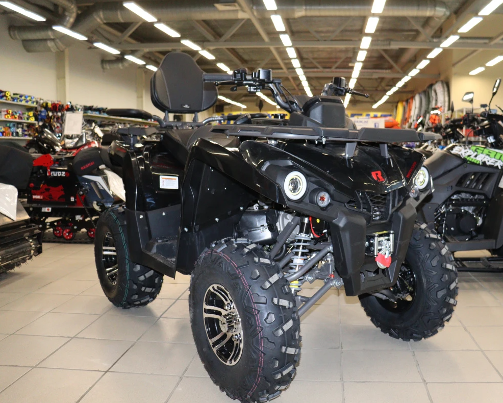 Квадроцикл PROMAX RENEGADE 300 LONG WINCH PRO (2025) в Набережных Челнах