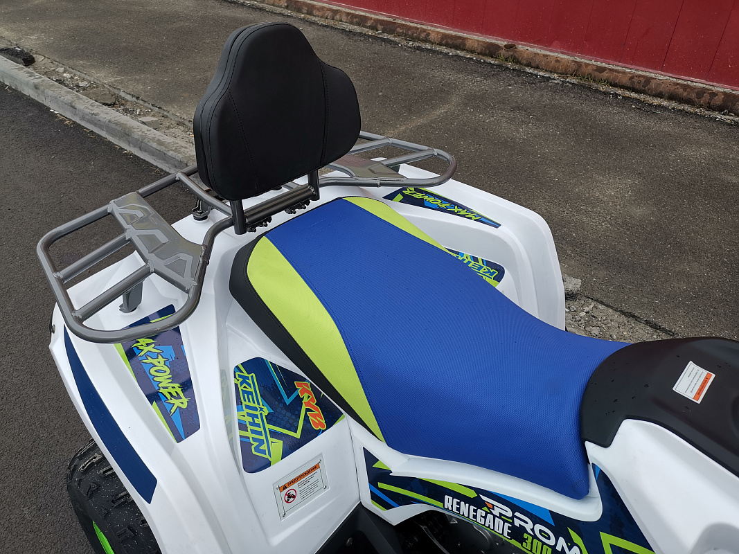 Квадроцикл PROMAX RENEGADE 280 LUX (2025) в Набережных Челнах