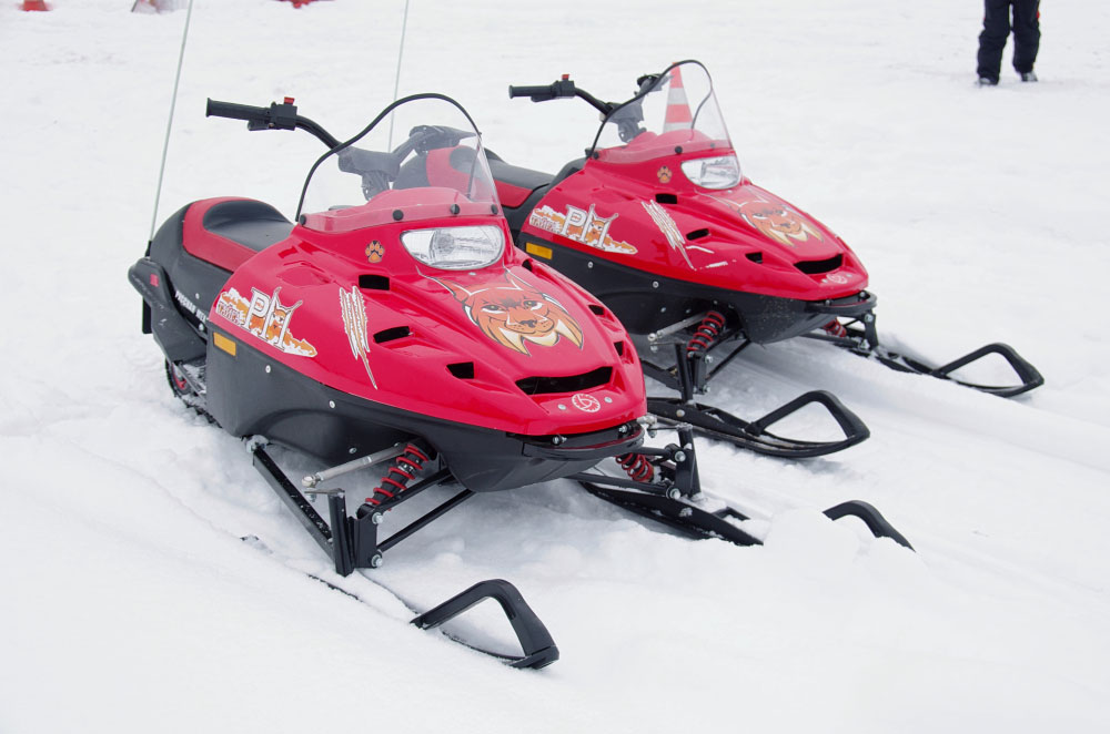 Снегоход РМ ТАЙГА РЫСЬ в Набережных Челнах