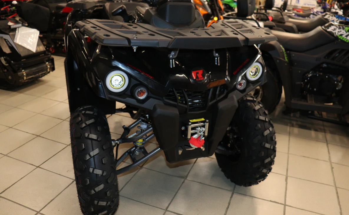 Квадроцикл PROMAX RENEGADE 300 LONG WINCH PRO (2025) в Набережных Челнах