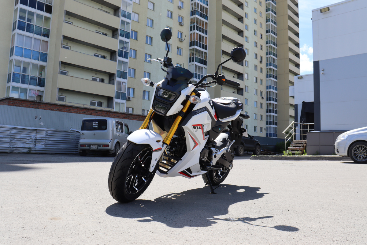 Мотоцикл PROMAX STRYKER 200(49) 2.0 в Набережных Челнах