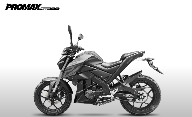 Мотоцикл PROMAX MT300 в Набережных Челнах