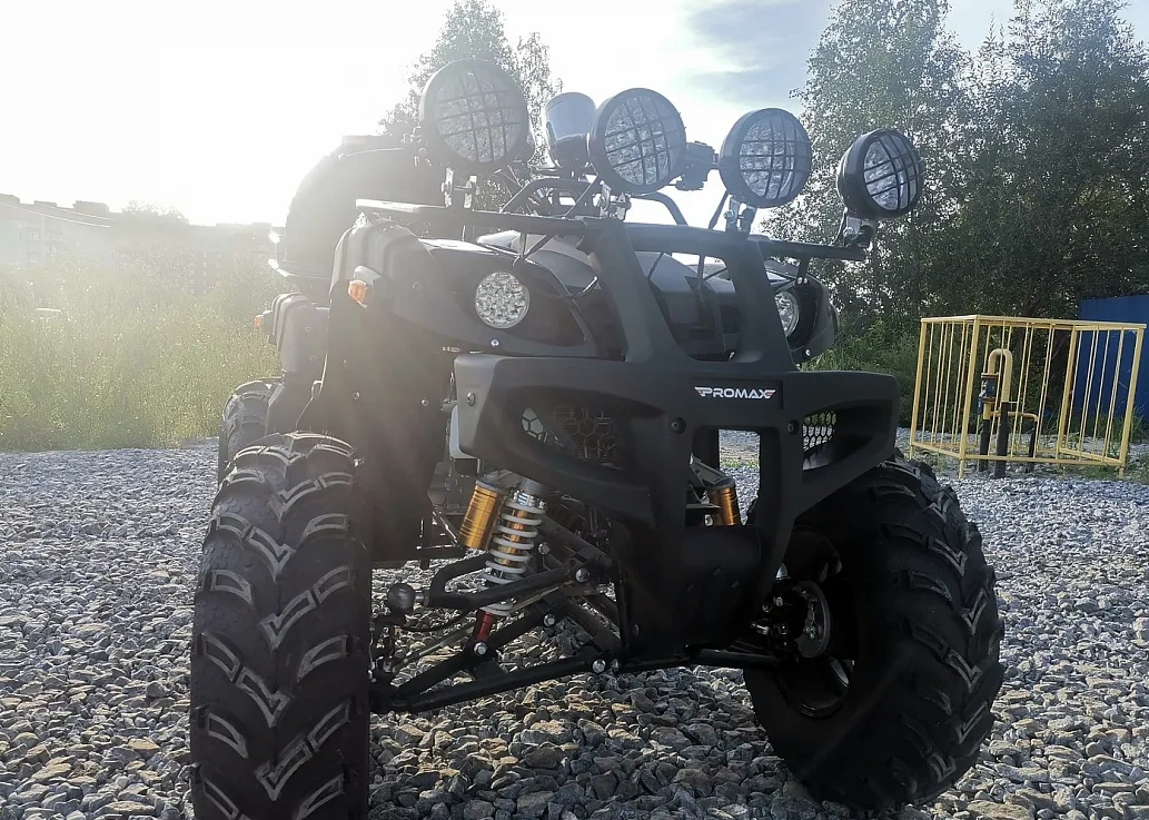 Квадроцикл PROMAX LEO 300 Max (кардан) в Набережных Челнах