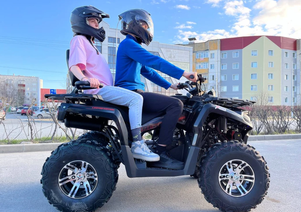 Квадроцикл PROMAX RENEGADE 300 LONG WINCH PRO (2025) в Набережных Челнах