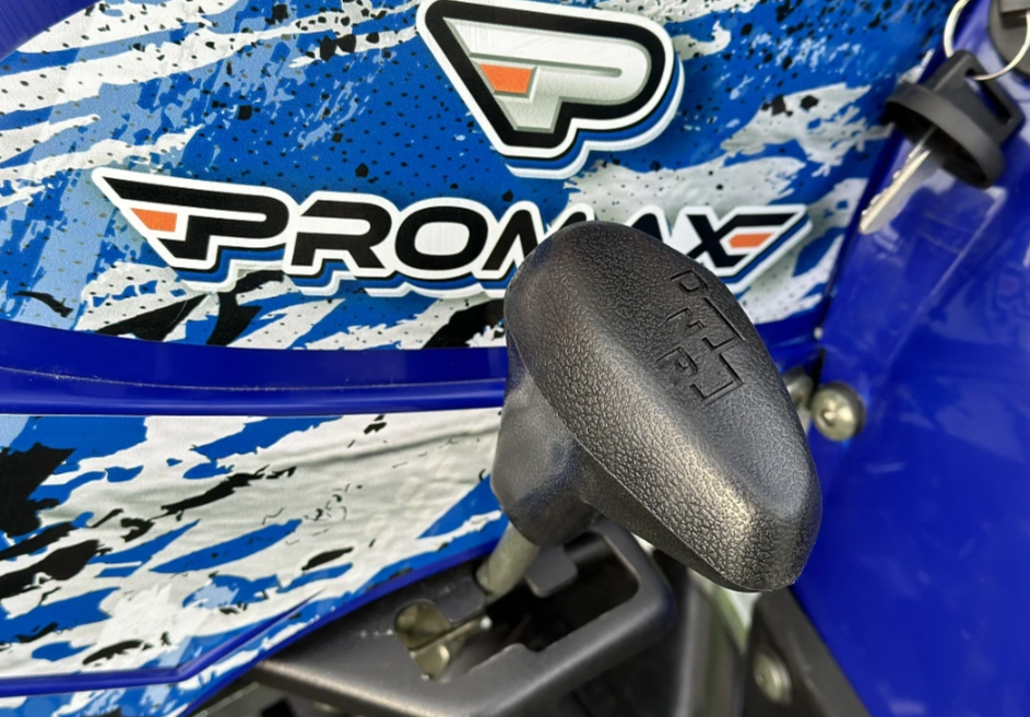  Квадроцикл PROMAX ATV 250 MAX (2025) в Набережных Челнах