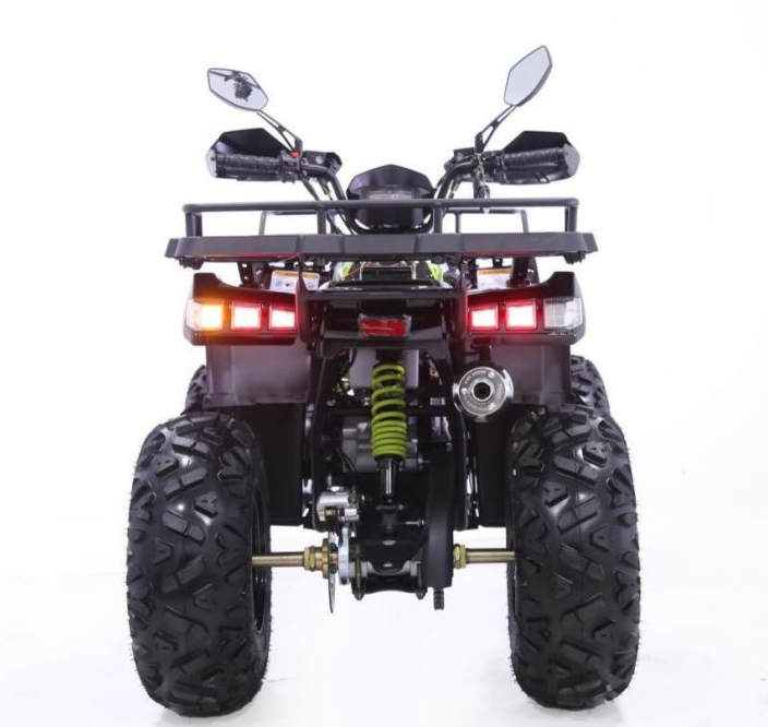 Квадроцикл YACOTA WARRIOR 200 PRO в Набережных Челнах