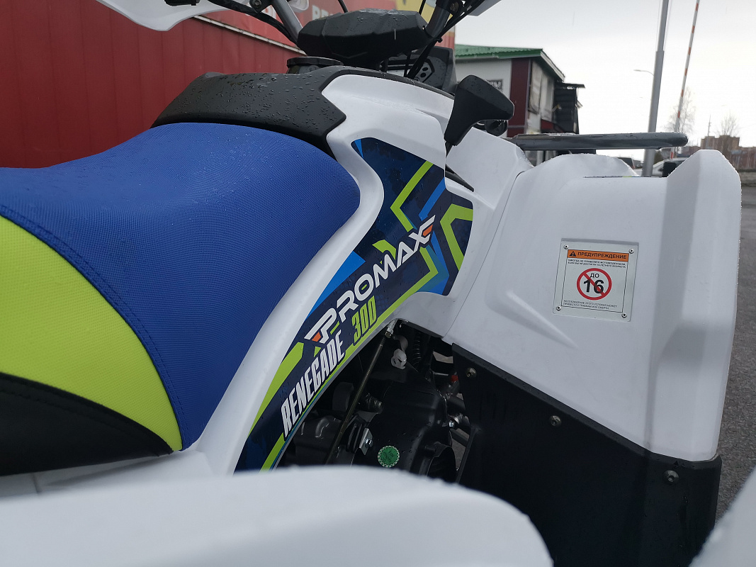 Квадроцикл PROMAX RENEGADE 280 LUX (2025) в Набережных Челнах