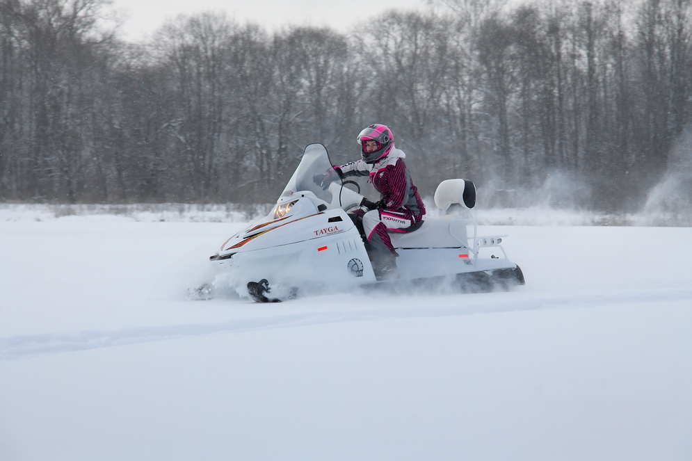 СНЕГОХОД РМ ТАЙГА ПАТРУЛЬ 551 SWT в Набережных Челнах