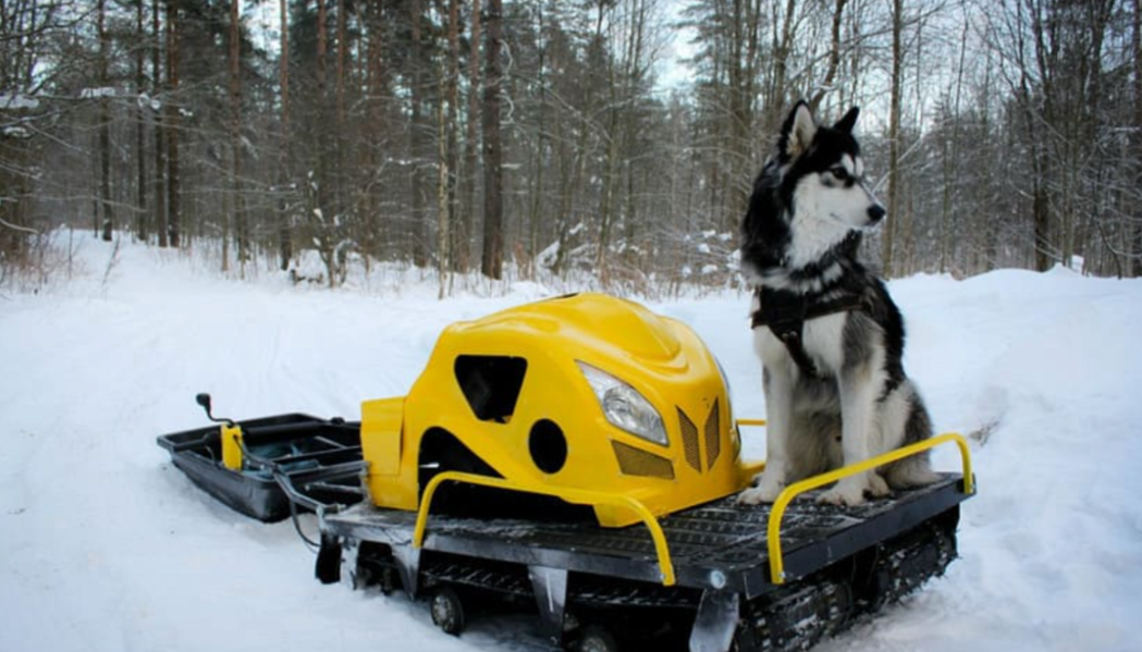 Мотобуксировщик LEBEDEV MOTORS ВОЛКОДАВ POWER V13 в Набережных Челнах