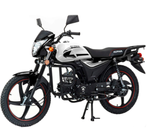 Мопед MOTOLAND (МОТОЛЕНД) Альфа RS 11 (LM48-B) в Набережных Челнах