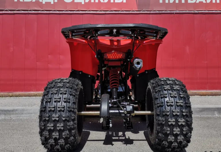 Квадроцикл PROMAX WILD 175 BASIC в Набережных Челнах