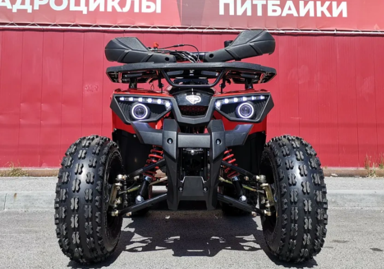 Квадроцикл PROMAX WILD 175 BASIC в Набережных Челнах