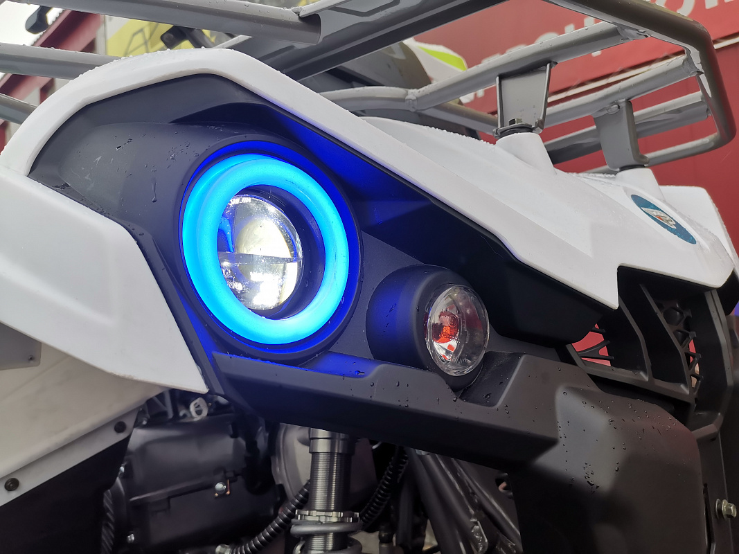 Квадроцикл PROMAX RENEGADE 280 LUX (2025) в Набережных Челнах