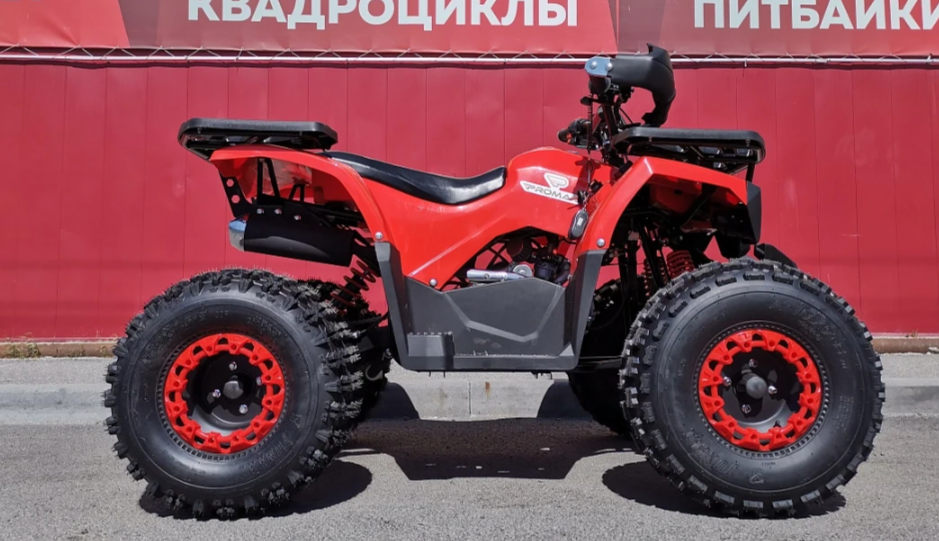 Квадроцикл PROMAX WILD 175 BASIC в Набережных Челнах