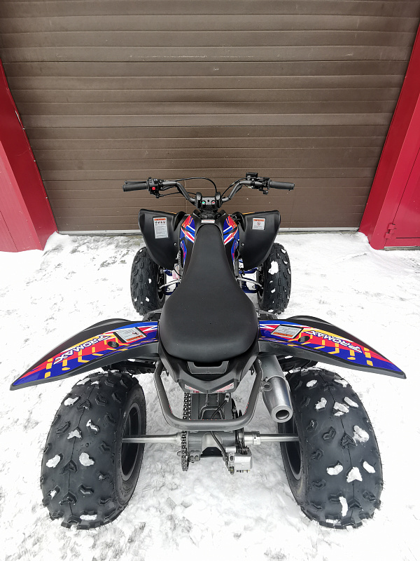 Квадроцикл PROMAX RAPTOR 300 NEW RedBull в Набережных Челнах