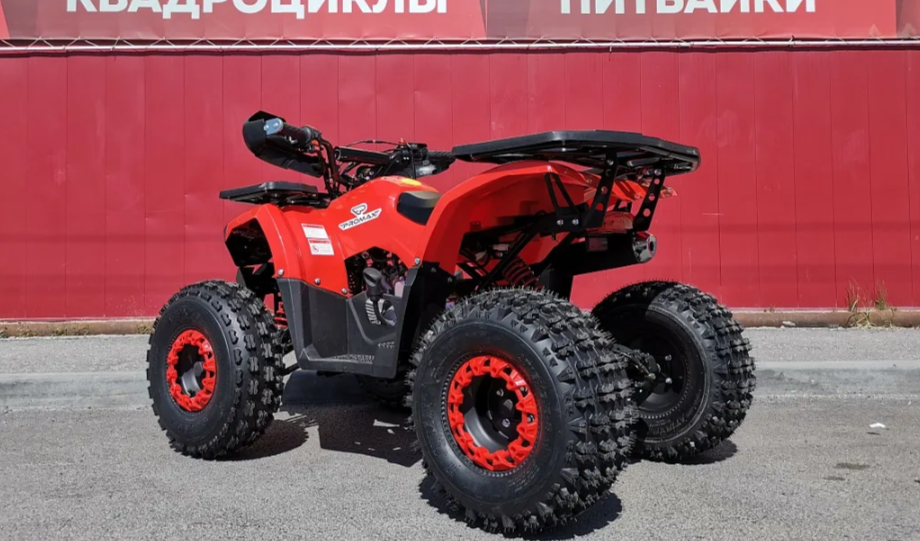 Квадроцикл PROMAX WILD 175 BASIC в Набережных Челнах