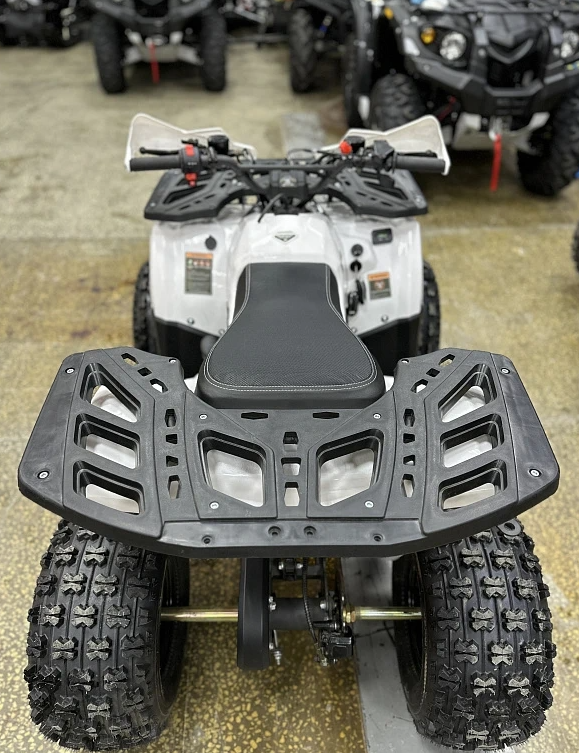 Квадроцикл PROMAX WILD 2.0 190 в Набережных Челнах