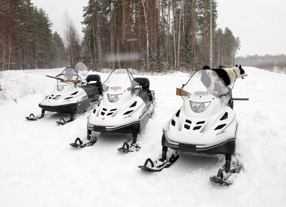 СНЕГОХОД РМ ТАЙГА ВАРЯГ 550 V в Набережных Челнах