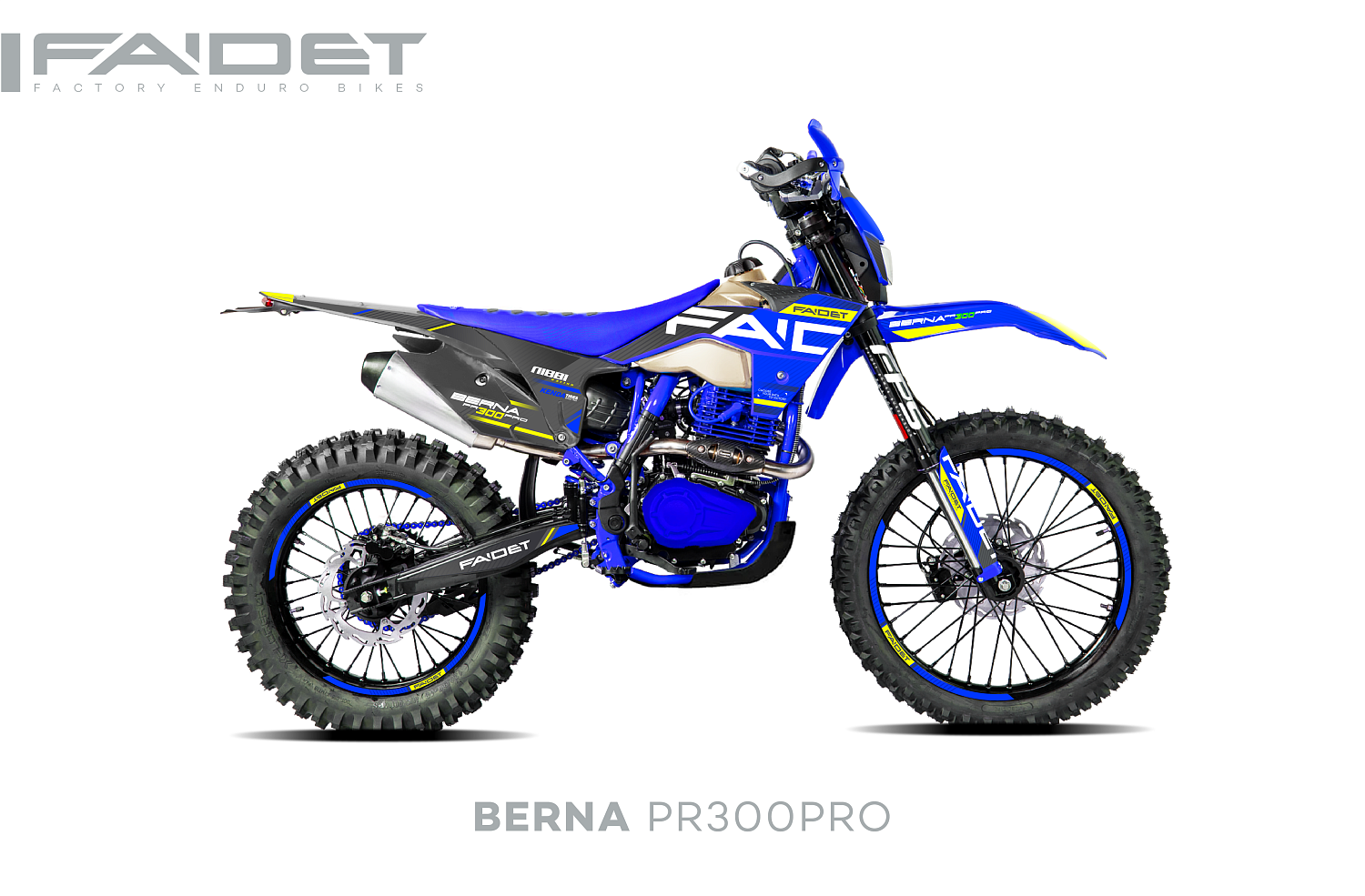 Кроссовый мотоцикл FAIDET BERNA PR300-PRO FPS в Набережных Челнах