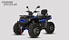 Квадроцикл PROMAX TAURUS 300 MAX-PRO LONG в Набережных Челнах