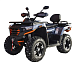 Квадроцикл MOTOLAND (МОТОЛЕНД) 300 MAX X в Набережных Челнах
