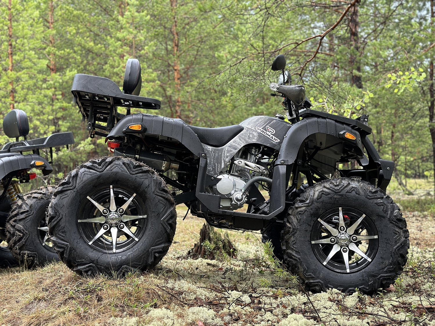 Квадроцикл PROMAX 320 DOMINATOR (2025) в Набережных Челнах