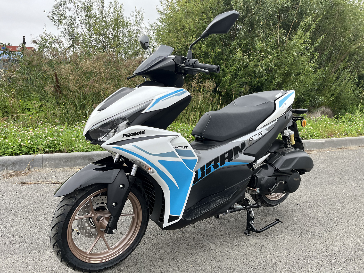 Скутер PROMAX TURAN 250 (49) в Набережных Челнах