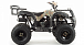 Квадроцикл MOTOLAND (МОТОЛЕНД) 200 ALL ROAD в Набережных Челнах