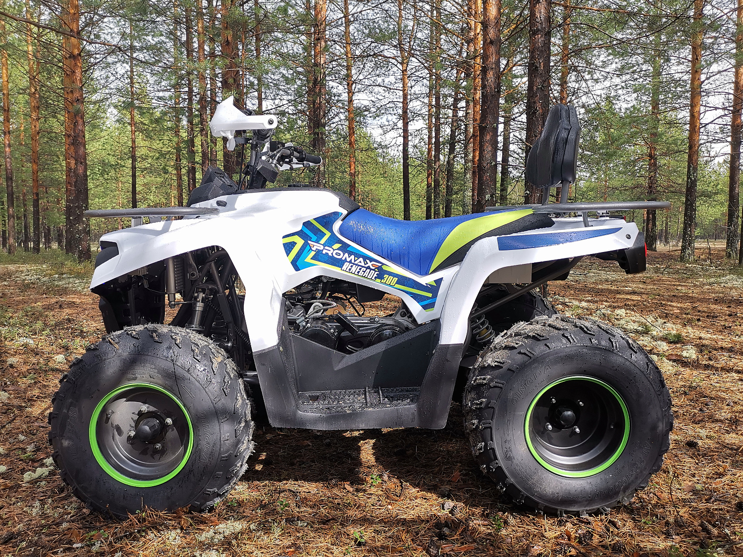 Квадроцикл PROMAX RENEGADE 280 (2025) в Набережных Челнах