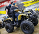 Квадроцикл PROMAX ATV 250 (2025) в Набережных Челнах