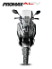 МаксиСкутер PROMAX-HONDA ADV 150 (49) (Inspired by HONDA) в Набережных Челнах
