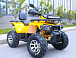 Квадроцикл MOTOLAND (МОТОЛЕНД) VOX200 WILD TRACK X PRO (баланс. вал) в Набережных Челнах