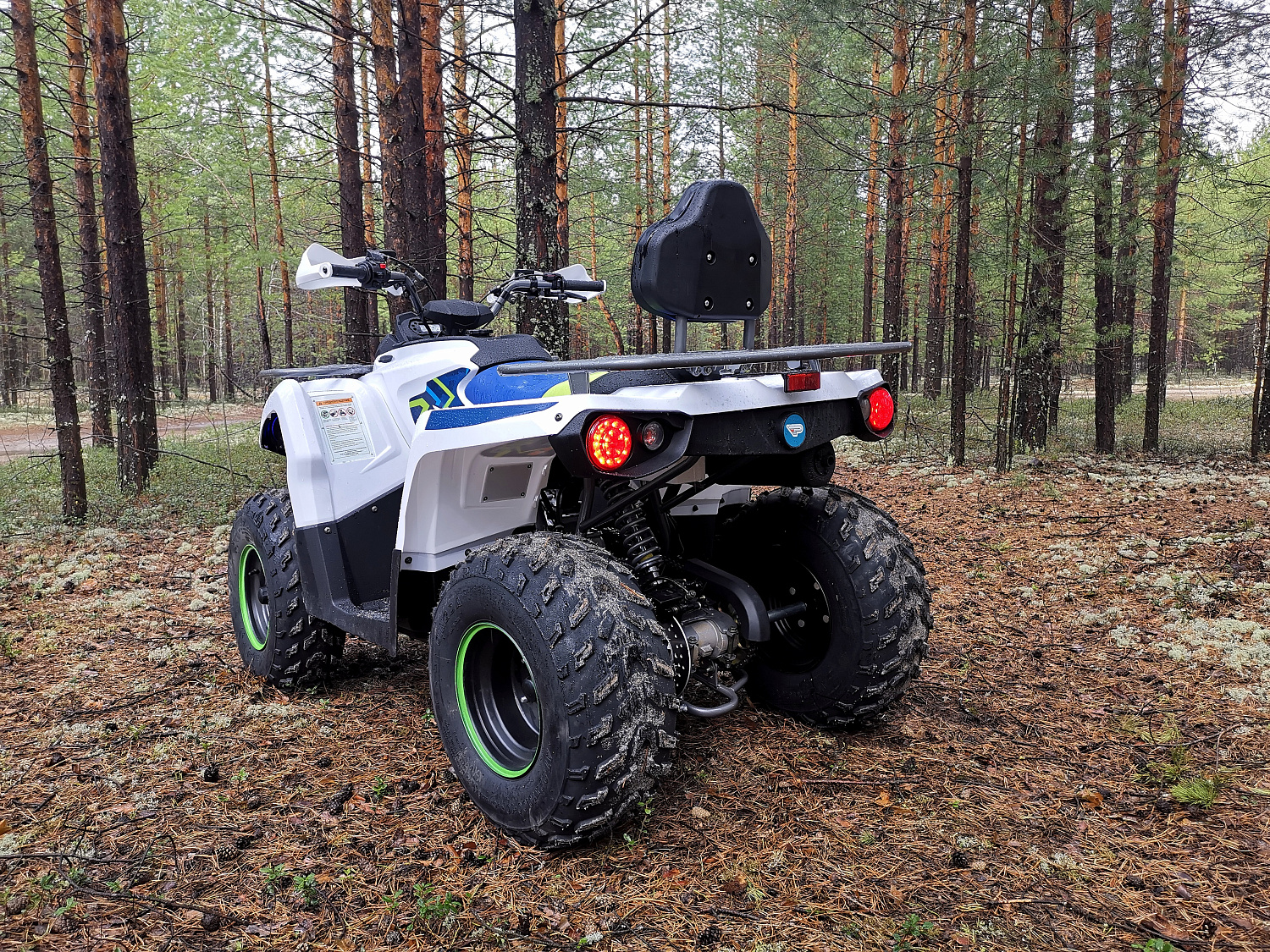 Квадроцикл PROMAX RENEGADE 280 (2025) в Набережных Челнах